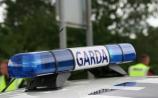 Garda appeal for witnesses