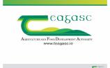 Teagasc 