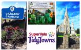 SuperValu Tidy Towns 2017: Granard must voice concerns with Longford County Council  regarding non fulfillment of regeneration commitment