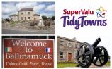 SuperValu Tidy Towns 2017: Establishment of a Junior Tidy Towns Committee recommended for historic Ballinamuck 