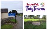 SuperValu Tidy Towns 2017: Tidy Towns adjudicator experiences hazardous N63 during Killashee walkabout