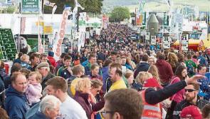Forestry matters at National Ploughing