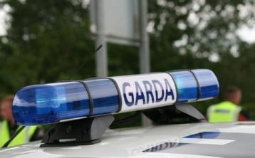 Garda appeal for witnesses