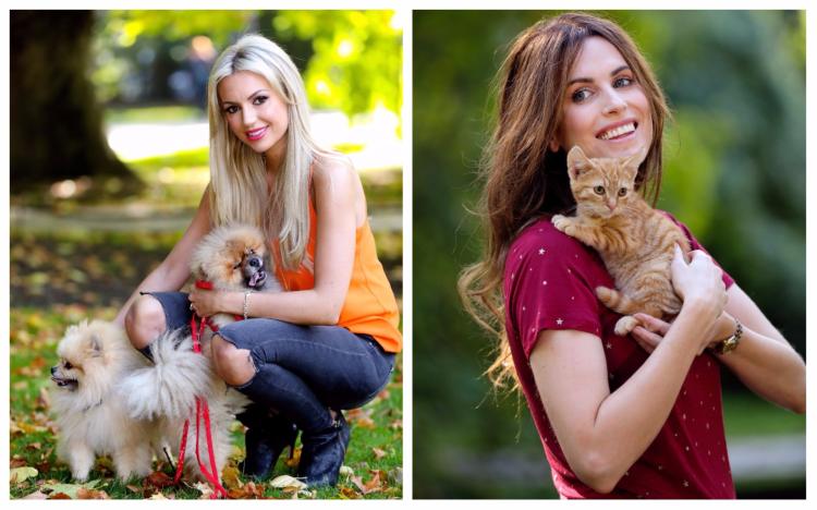 ISPCA launch #GiveThemAVoice to celebrate World Animal Week, October 1 to 7