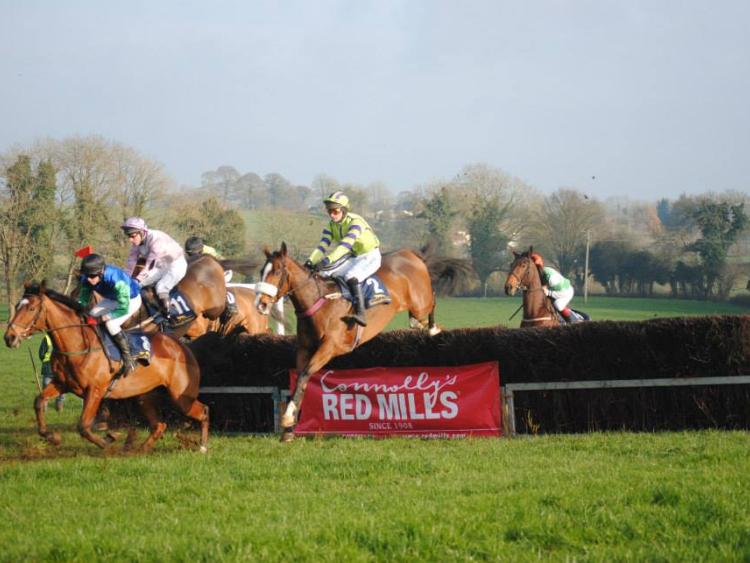 Longford and Westmeath Harriers host their third annual Point to Point race meeting at Corbeagh House, Ballinalee 