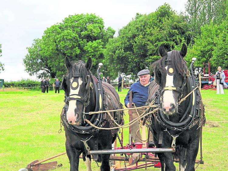 Longford Living: The Ploughman and the Stars