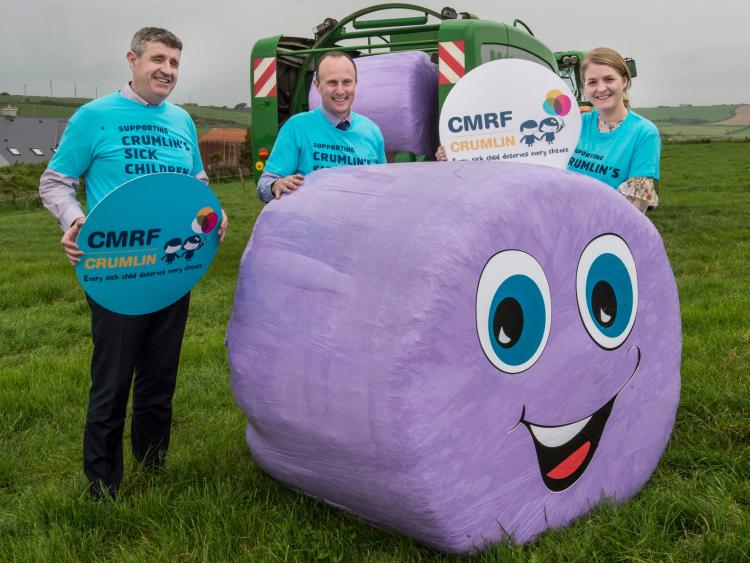 Longford support sought for Purple Bales for Crumlin Children&rsquo;s Hospital campaign