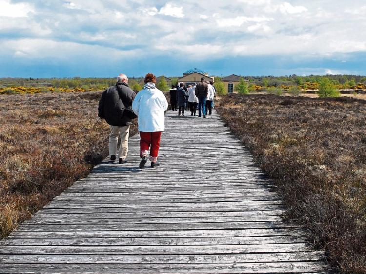 Bord Na Mona to develop Corlea Community Wetland