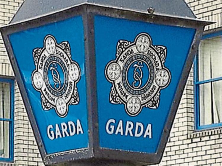 Gardai confirm bone found on Limerick-Clare border is human