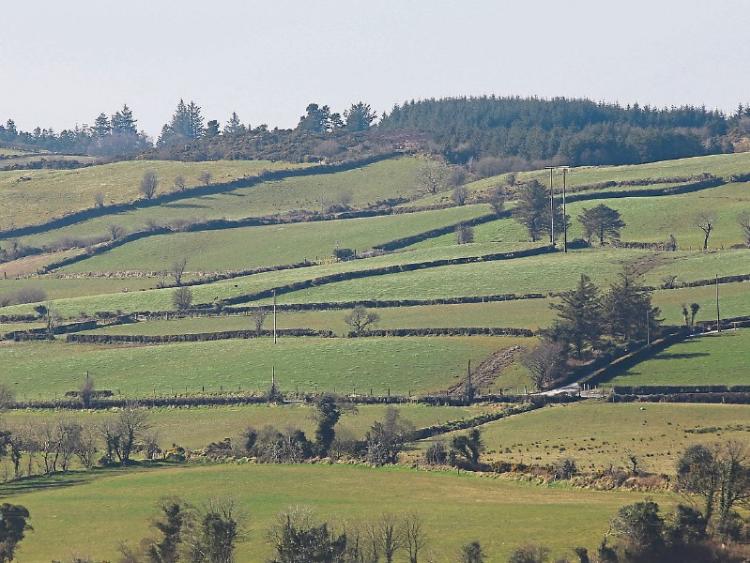 Prices to rise at a steady pace