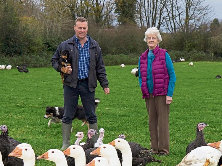 Kenagh Christmas turkeys in demand