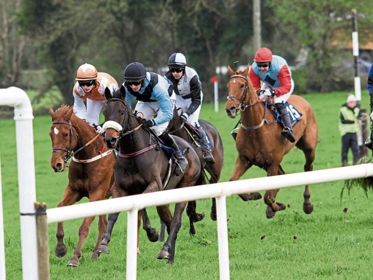 Top quality racing and catering at enjoyable Point to Point