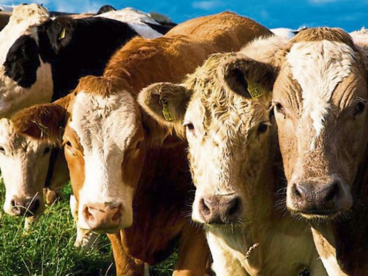 Longford farmers advised to 'dig their heels in'