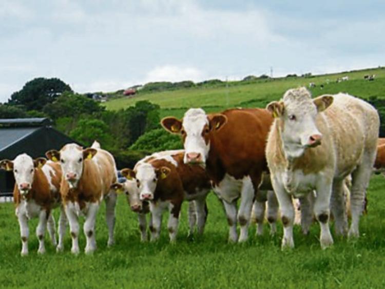 BPS payments on the way this week