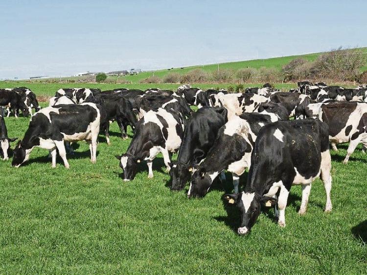 Milk pricing model not working for young Longford farmers