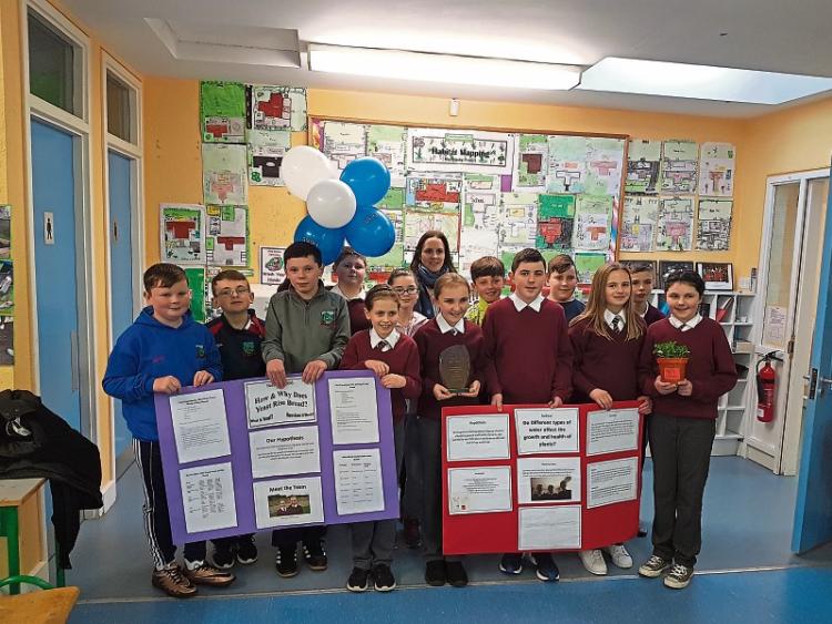 Another Scifest accolade for Cloontuskert