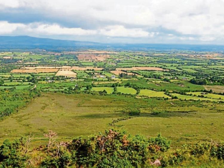 Longford Leader Opinion: Growing up in rural Ireland