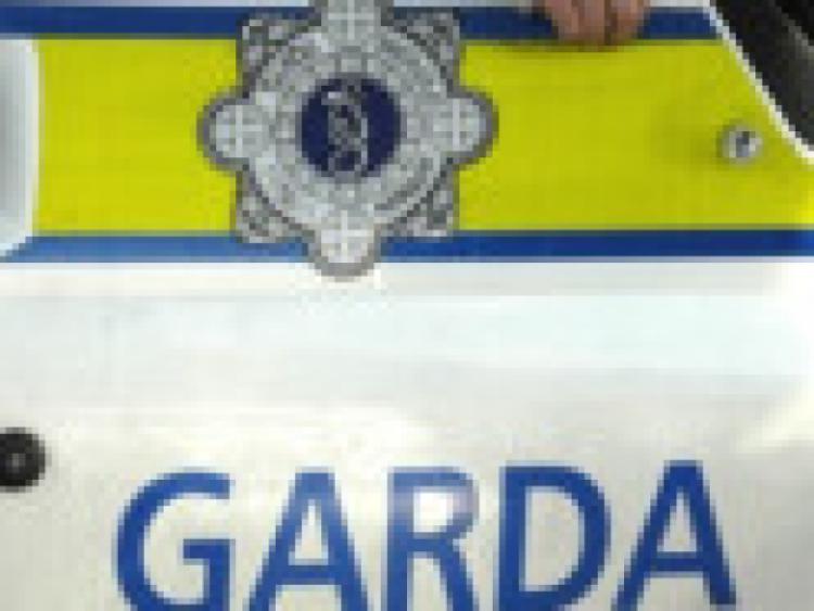 Garda&Atilde;&shy; called to sulky racing episode 