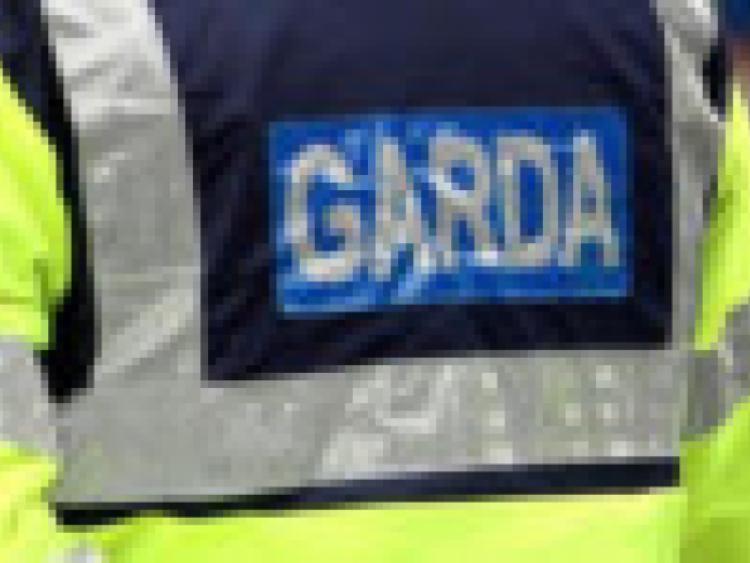 Garda&Atilde;&shy; investigating vicious Longford assaults 