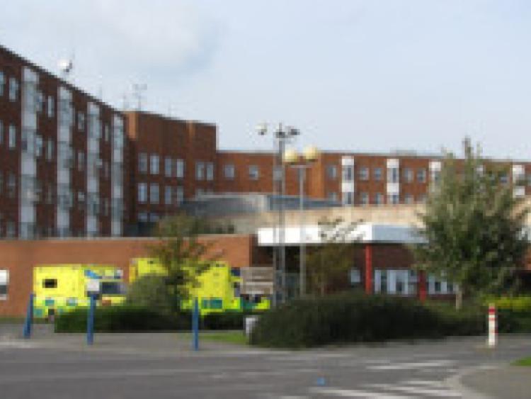 Aisling Maguire, 23, was taken to the Midland Regional Hospital in Mullingar, where she died from injuries sustained when a tree fell on her car.