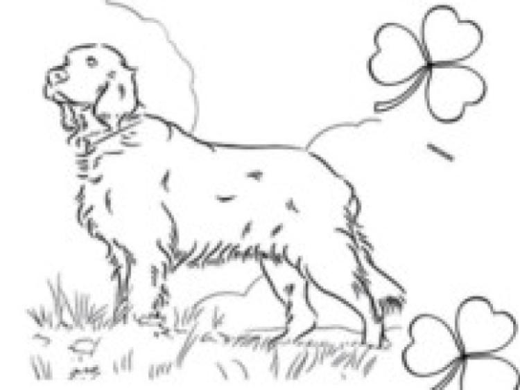 A dog show, in aid of the Midland Dog Welfare Group, will take place this Sunday, March 16.