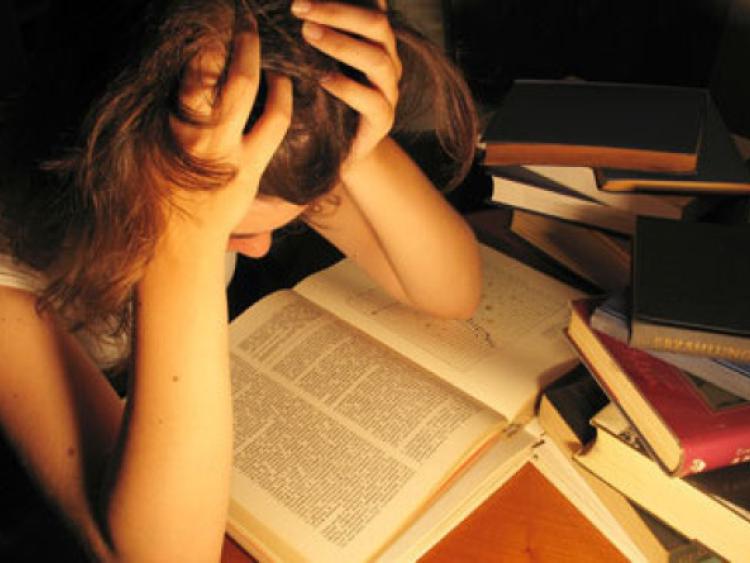 How to navigate the big LC: Advice for Longford's students and parents