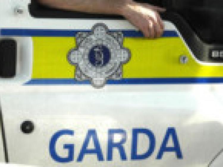 Thefts from Lough Gowna to Lough Ree 