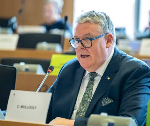 Ciarán Mullooly in Brussels today