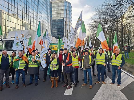IFA National Council members in Brussels, who joined thousands of farmers from across Europe for the demonstration against EU budget reform and the Mercosur trade deal