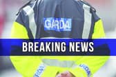 Longford GardaÍ were involved in the seizure