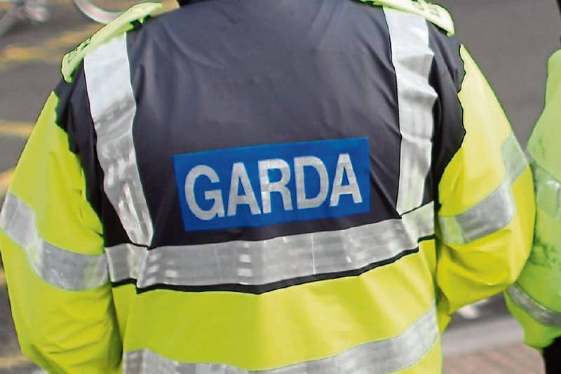 Gardai are appealing for witnesses to the Rathangan attack