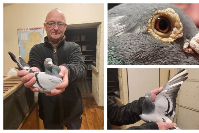 READ NEXT: Carlow dad launches new World Cup anthem to raise funds for hospital that helped his baby