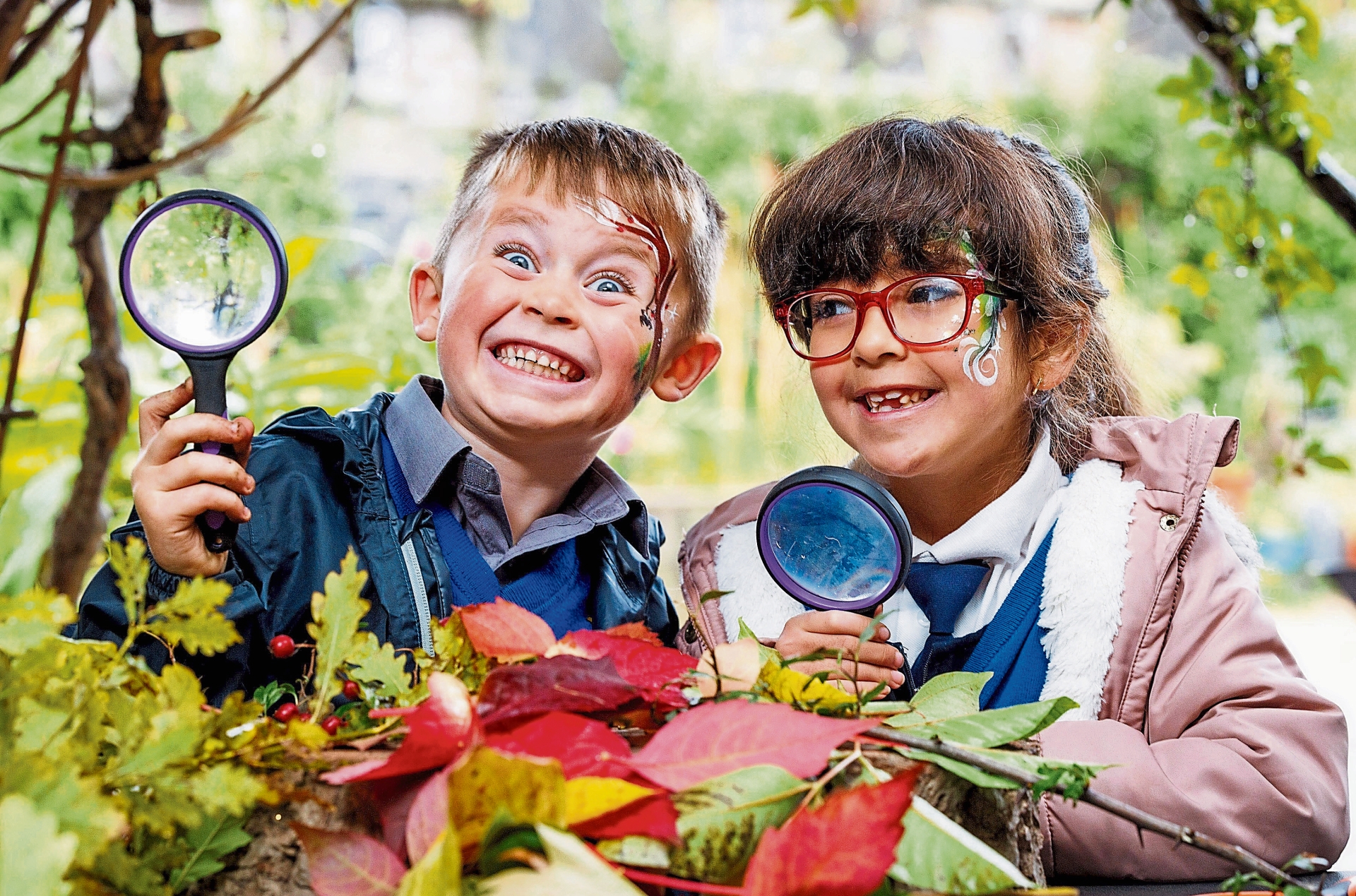 Free trees for Longford primary schools this National Tree Day