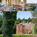 Stunning views, history and beautiful grounds