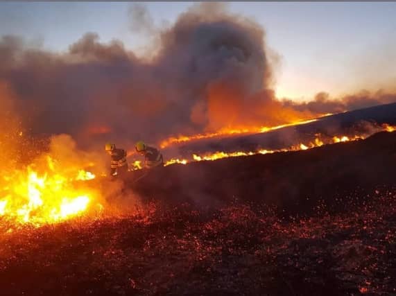 Campers evacuated as forest fire breaks out at Wild Nephin National Park in Mayo