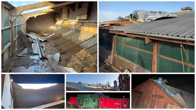' Farmers do have to go out in these conditions because animal welfare is our top priority' Pictures: Facebook ILOL-31-01-25 O'Halleran Family Farm
