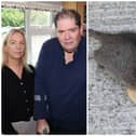 Hell: Laura and Kieran Ginty, at their home which they say has been infested with rats  | PICTURE: Adrian Butler