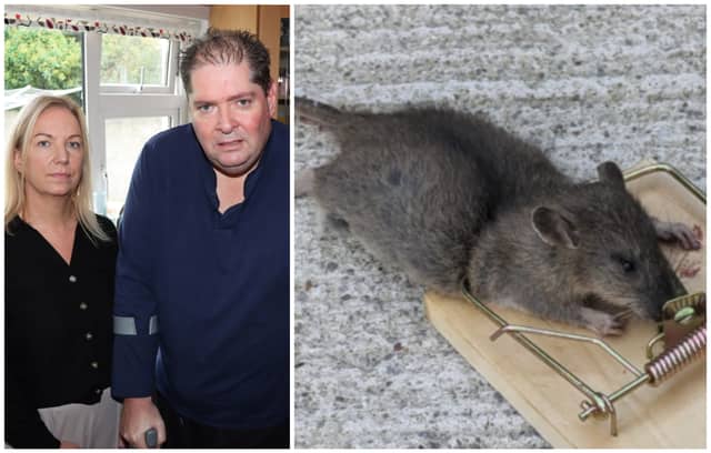 Hell: Laura and Kieran Ginty, at their home which they say has been infested with rats | PICTURE: Adrian Butler