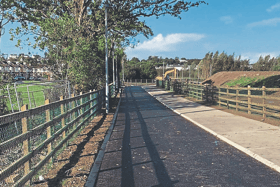 The final section of the Castletroy Urban Greenway was completed in 2021 Picture: Limerick City and County Council