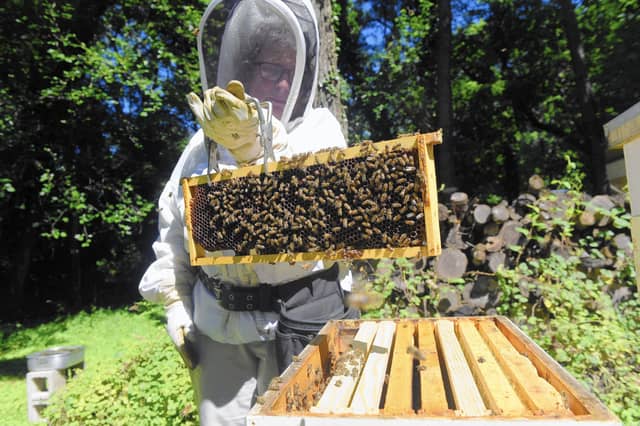 County Louth Beekeepers Association