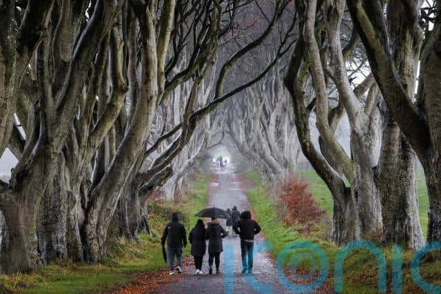 However, concerns have been raised about the state of several of the beech trees and a number have blown down during storms in recent years.