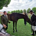 Legan’s Gerry Whyte readying the family’s Dollar Man in the 4 year Old Eventer class as rider Diarmuid Ryan looks on