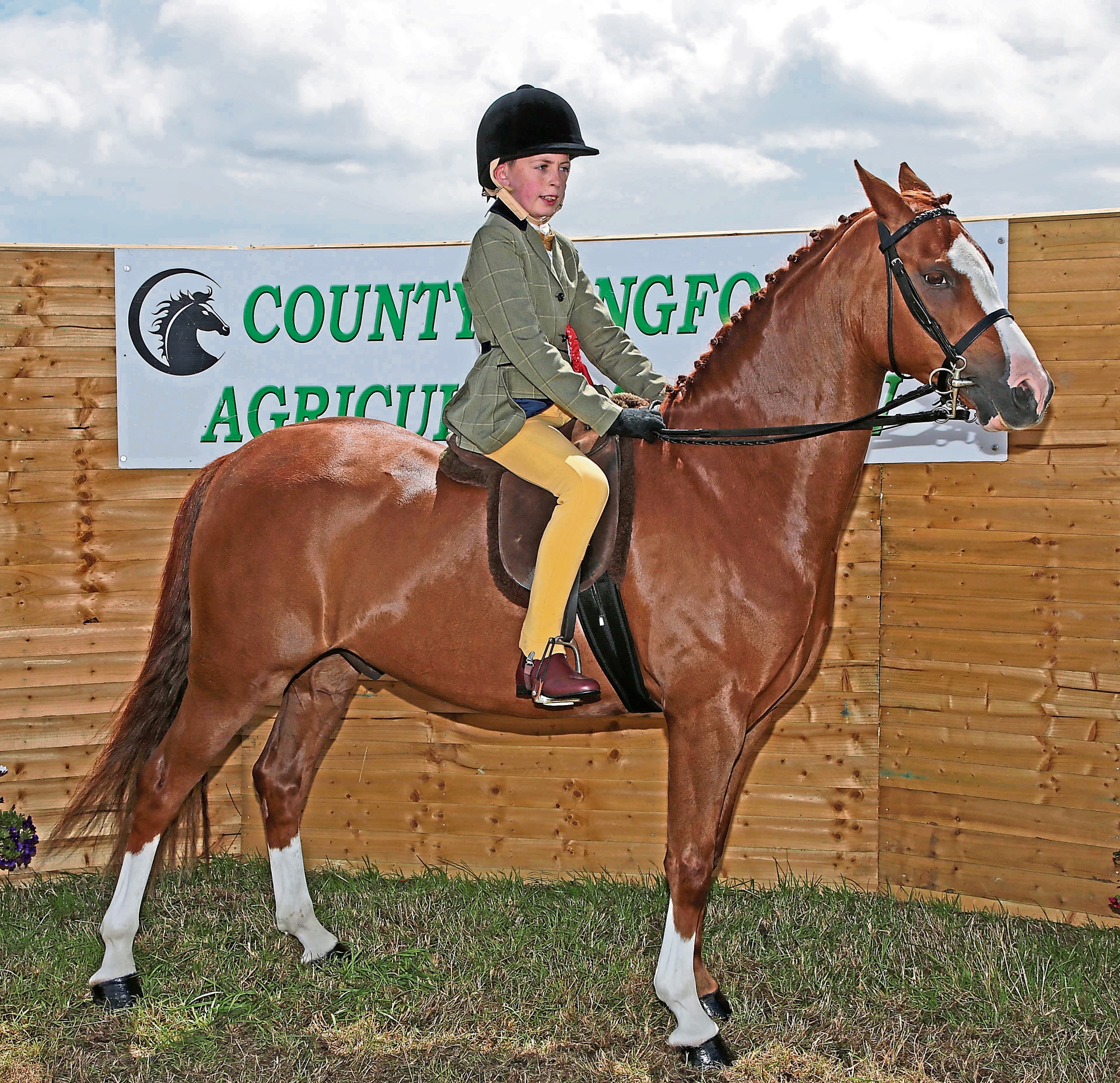 Youngsters shine in array of horse and pony events at Longford ...