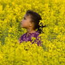 GUIDE: How to prepare for Ireland’s high-level pollen count