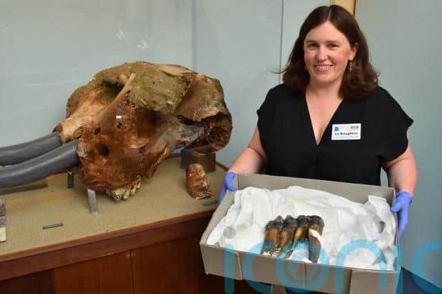 Ms Broughton said it is common for winter storms to uncover fossils in the region and it may have washed down to the ocean from higher up.