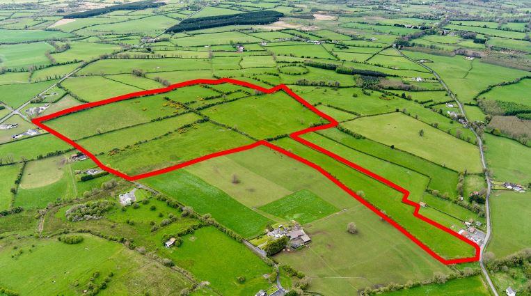 The C.48 acre non-residential farm renowned for its fattening abilities at Milltown, Rathconrath, Co Westmeath which will be sold by online auction