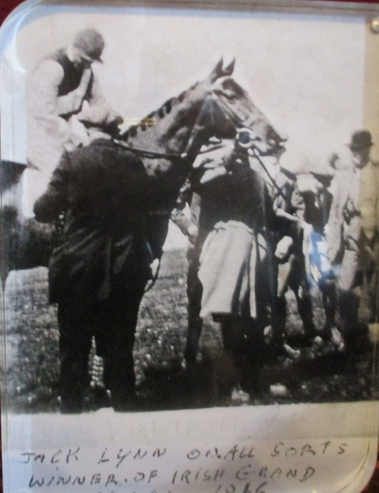 This photo from Johnny Lynn's private collection shows John 'Jackie' Lynn on All Sorts just after winning the Irish Grand National in 1916.