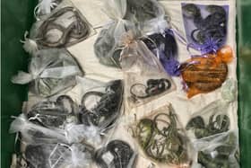 A California man who smuggled more than 1,700 wild animals into the United States, including 60 reptiles hidden in his clothing, has pleaded guilty to federal charges.