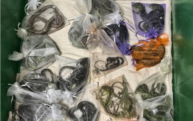 A California man who smuggled more than 1,700 wild animals into the United States, including 60 reptiles hidden in his clothing, has pleaded guilty to federal charges.