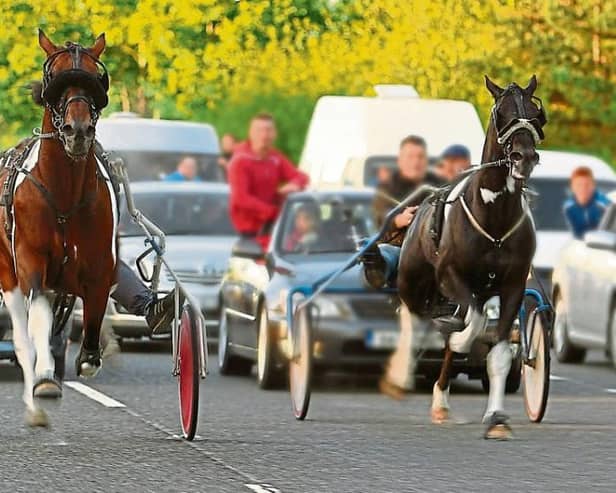 Calls for ban on sulky racing as thousands of people sign petition 